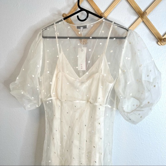 Olivia Von Halle Delphine Sheer Dress - Picture 11 of 15